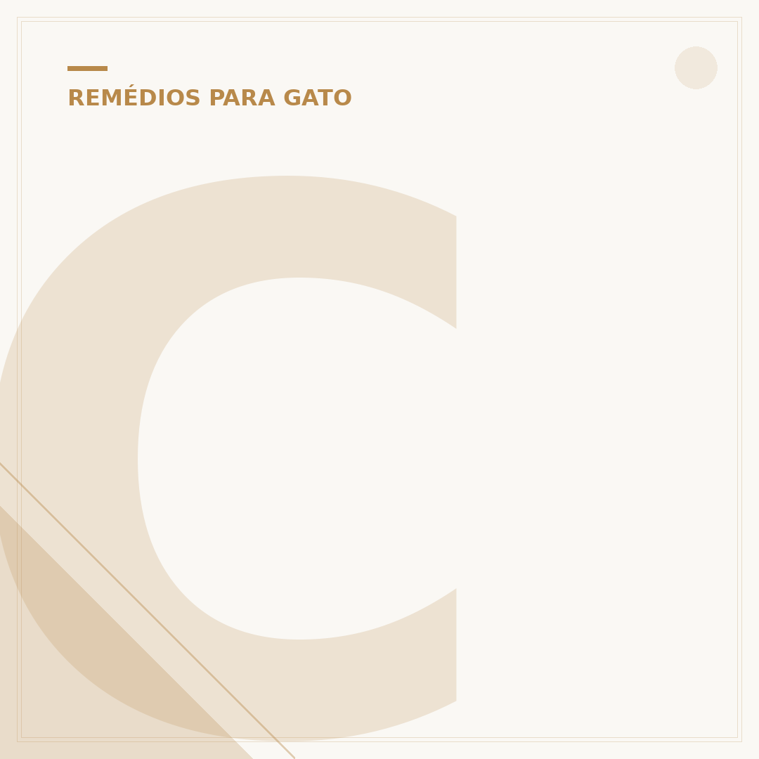 Carvão ativado para gato: o que é e quando usar