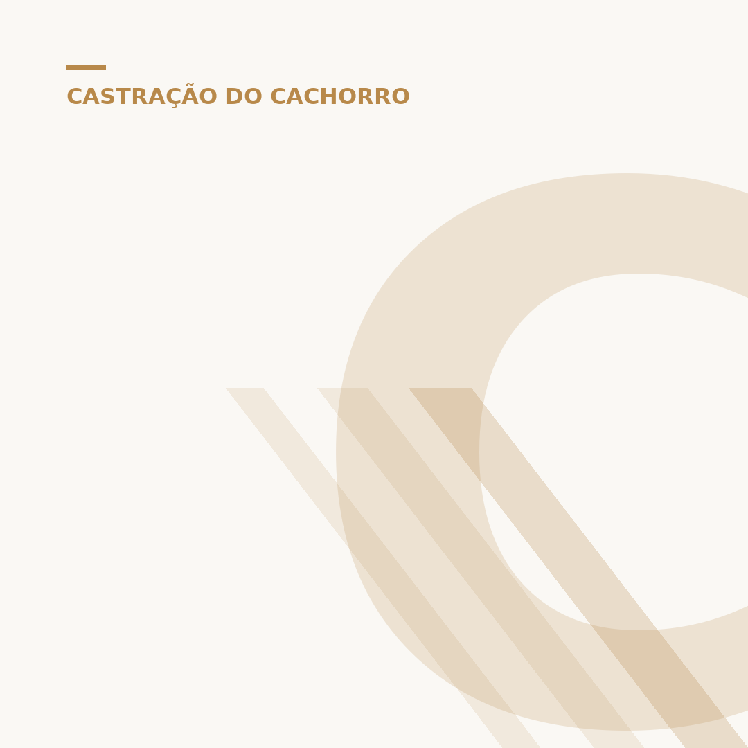 Castração de cachorro macho