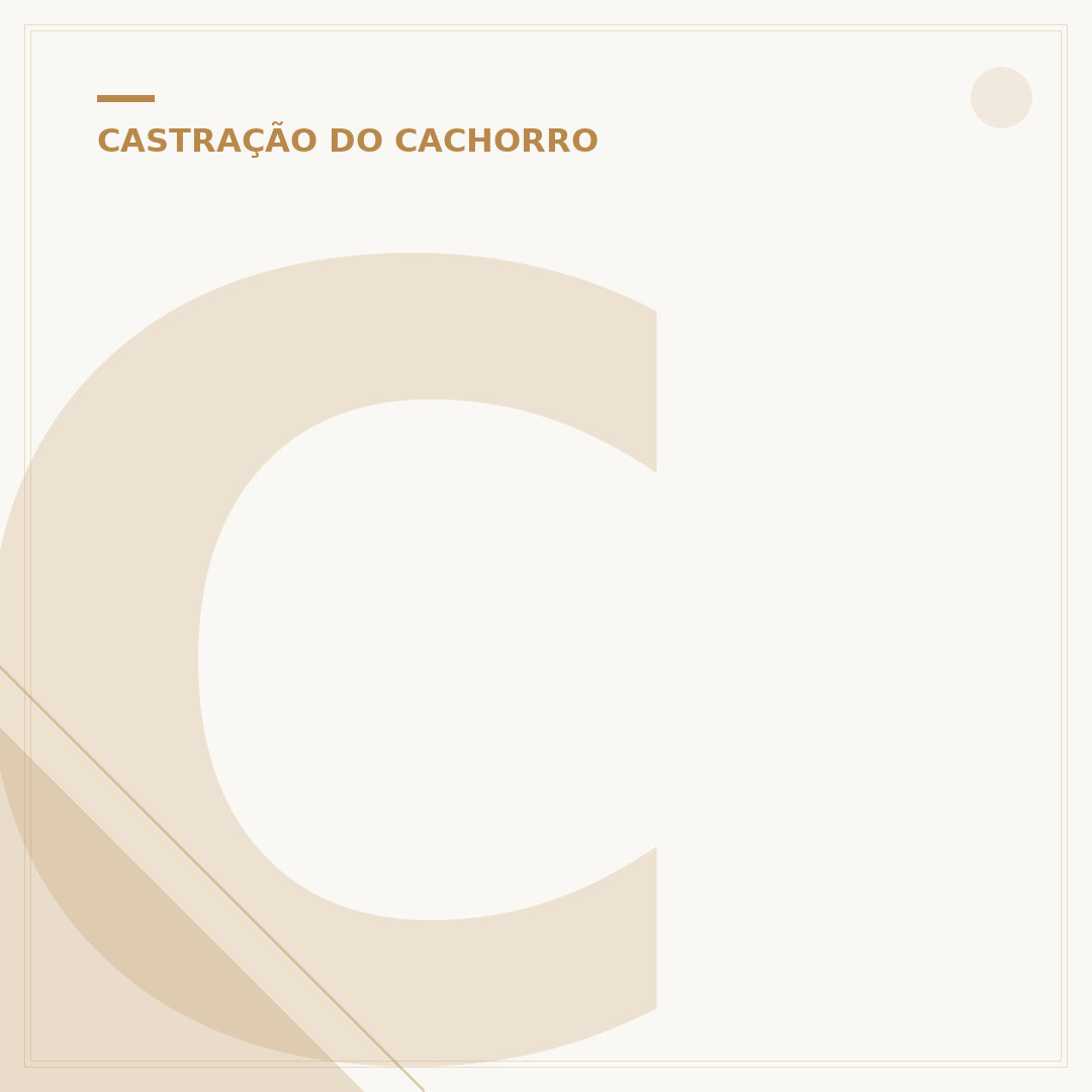 Castração gratuita: como encontrar e entender os programas