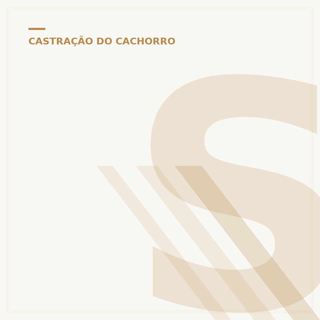 Se castrar o cachorro, ele fica mais calmo?