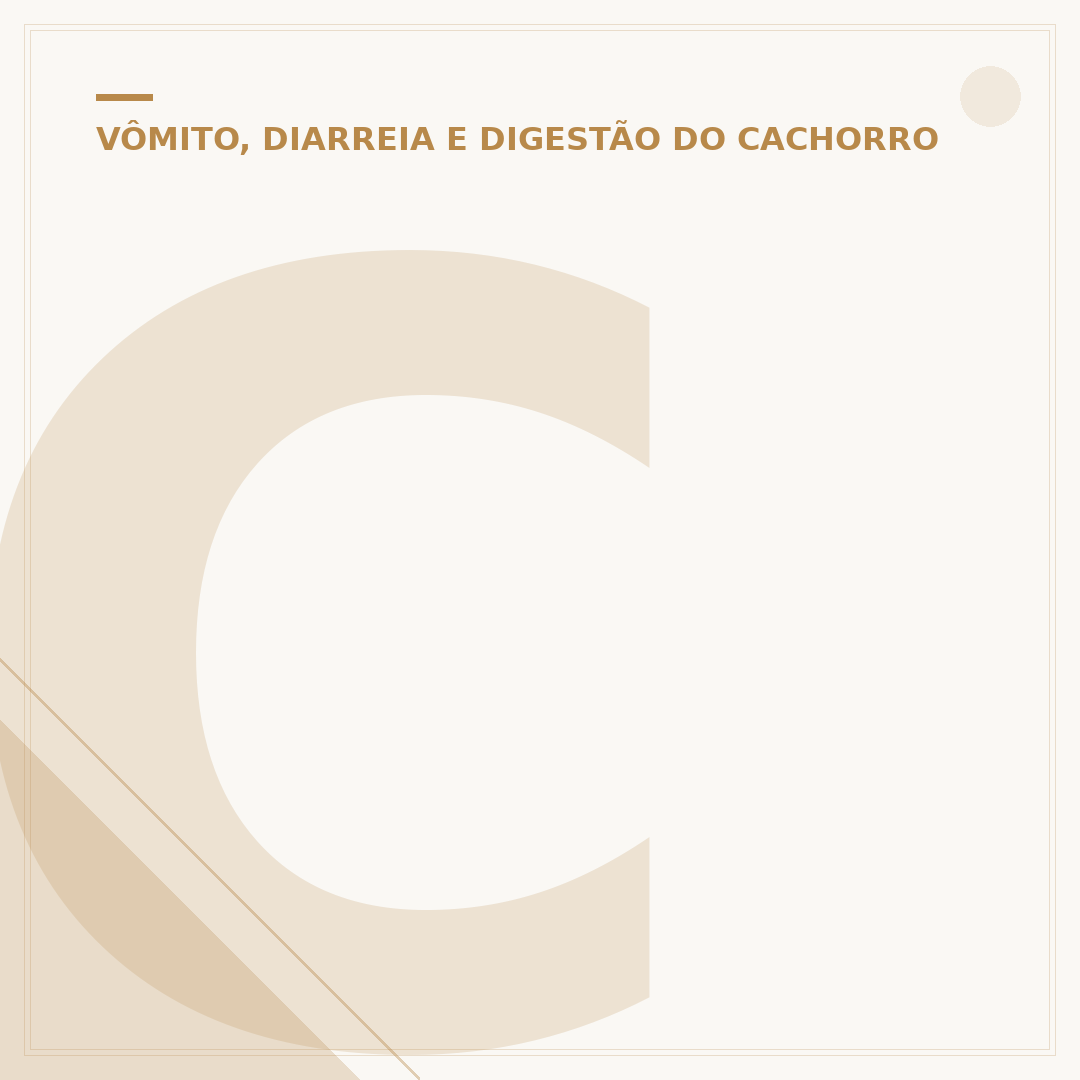 Chá para cachorro com dor de barriga