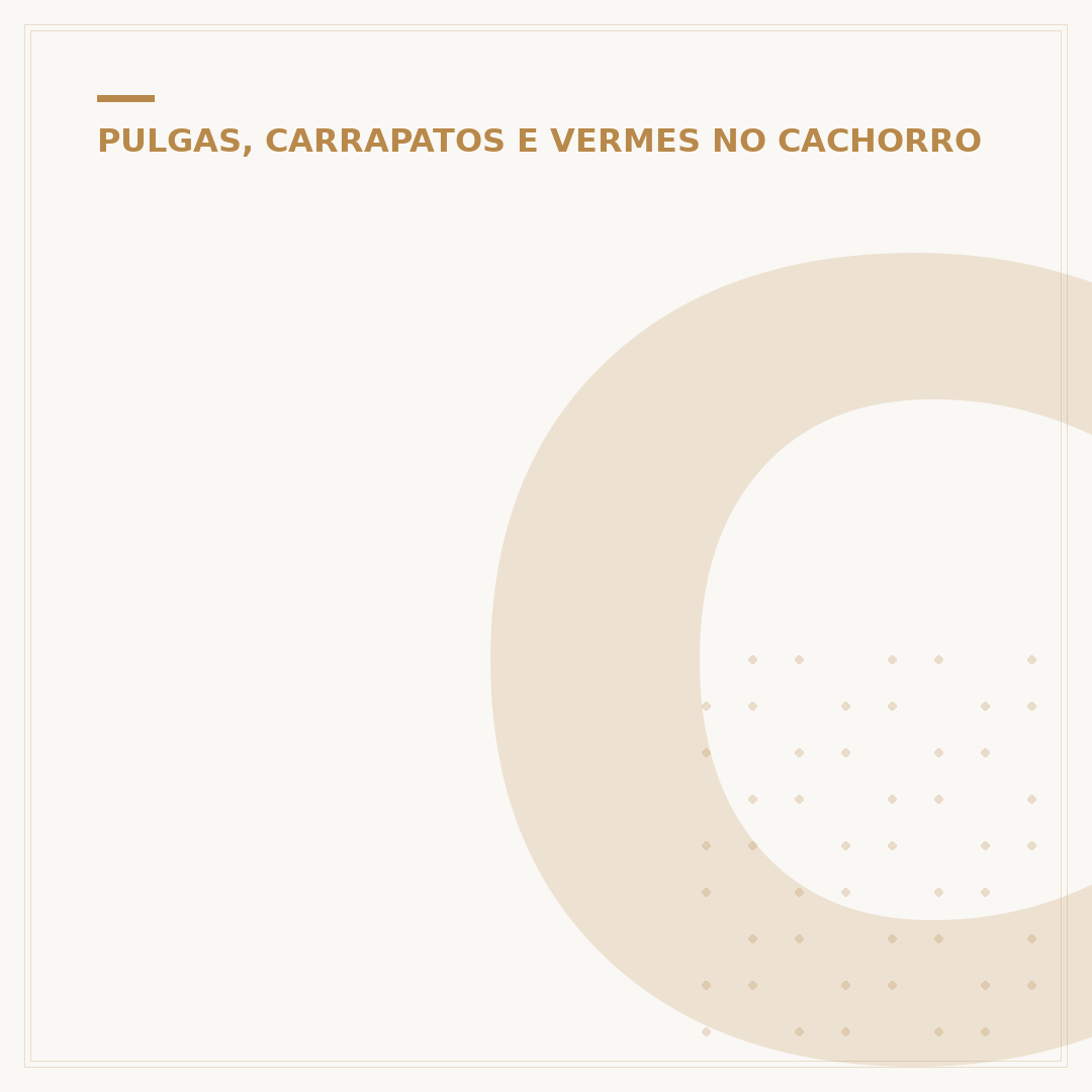 Cinomose não é a doença do carrapato: entenda as diferenças
