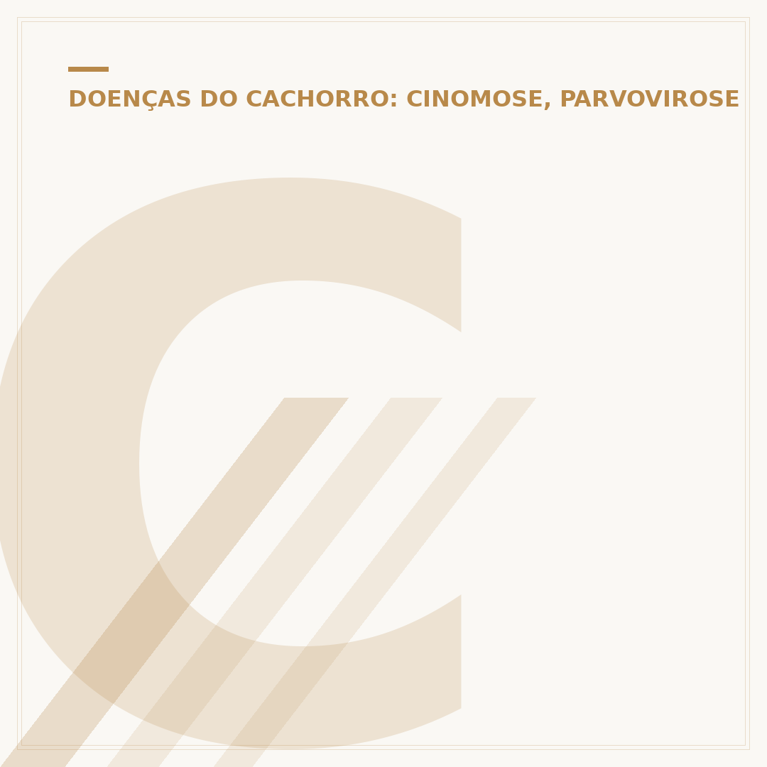 Cinomose mata cães: entenda os riscos e sinais