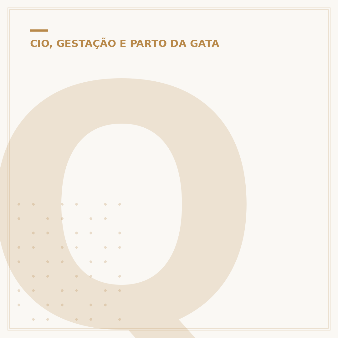 Quanto tempo dura o cio do gato macho?
