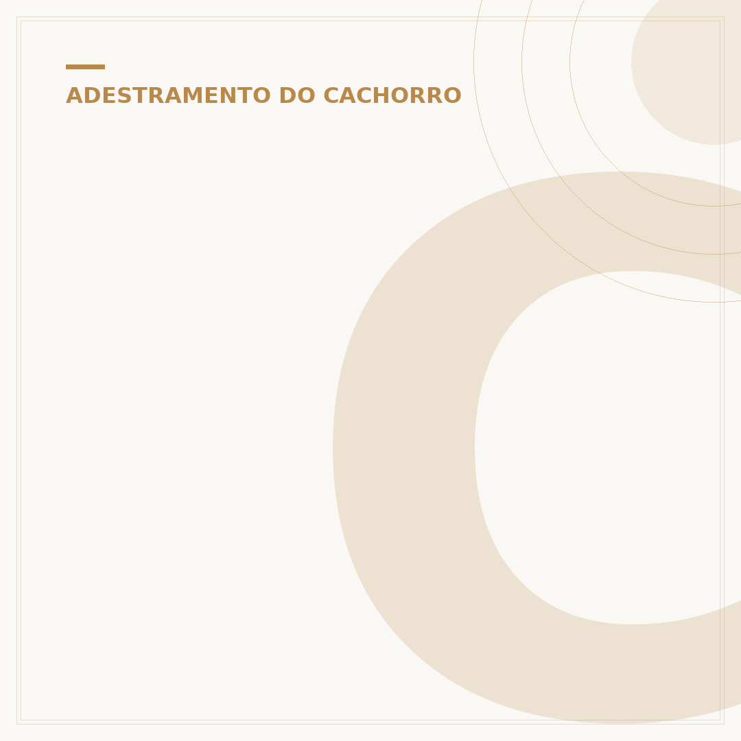 Click adestramento: como usar o clicker para treinar seu cão