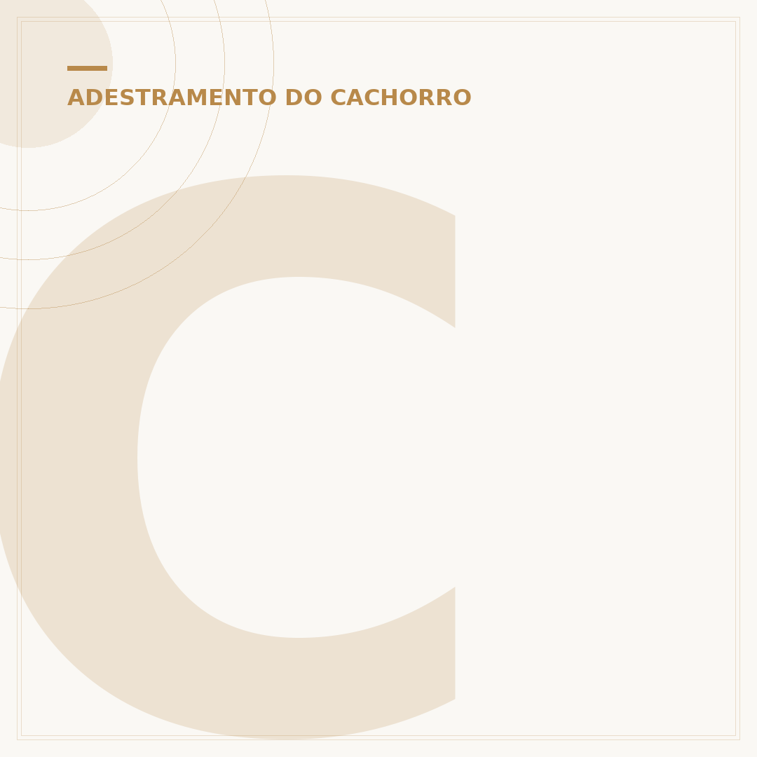 Clicker para adestramento