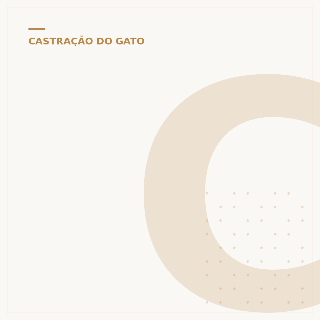 Colar para gato castrado