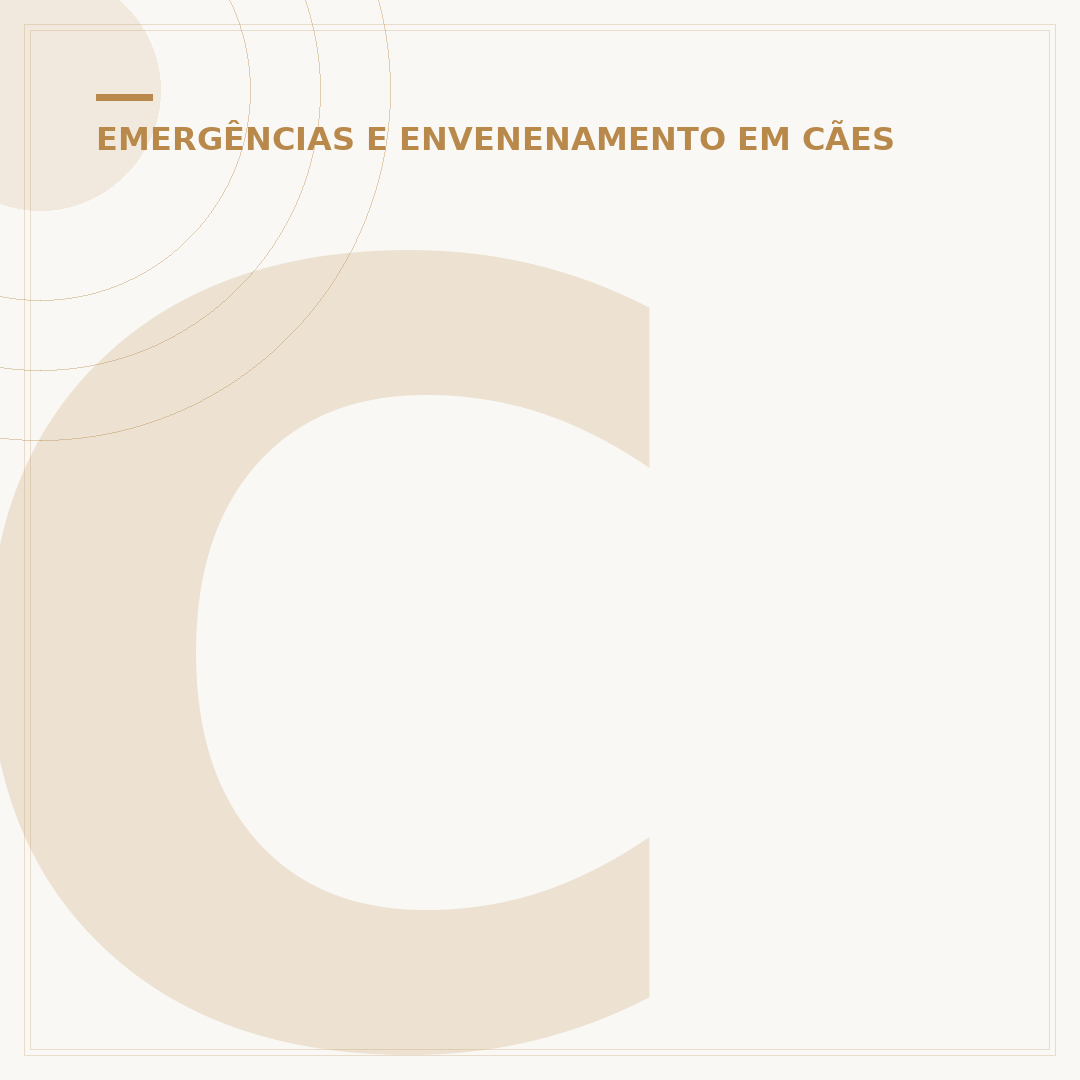 Coleira adestramento choque: usos e considerações