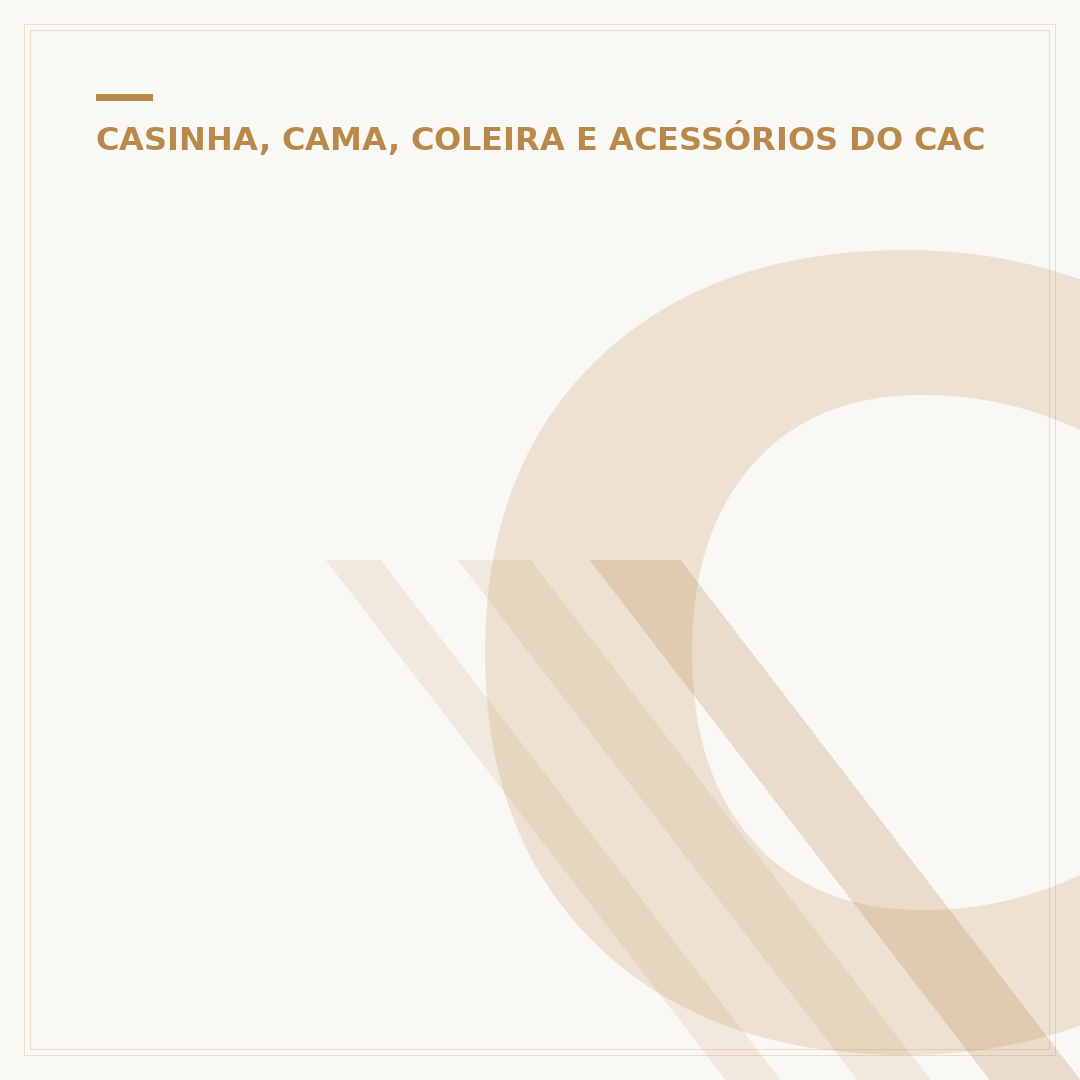 Coleira e guia para cachorro: segurança e conforto