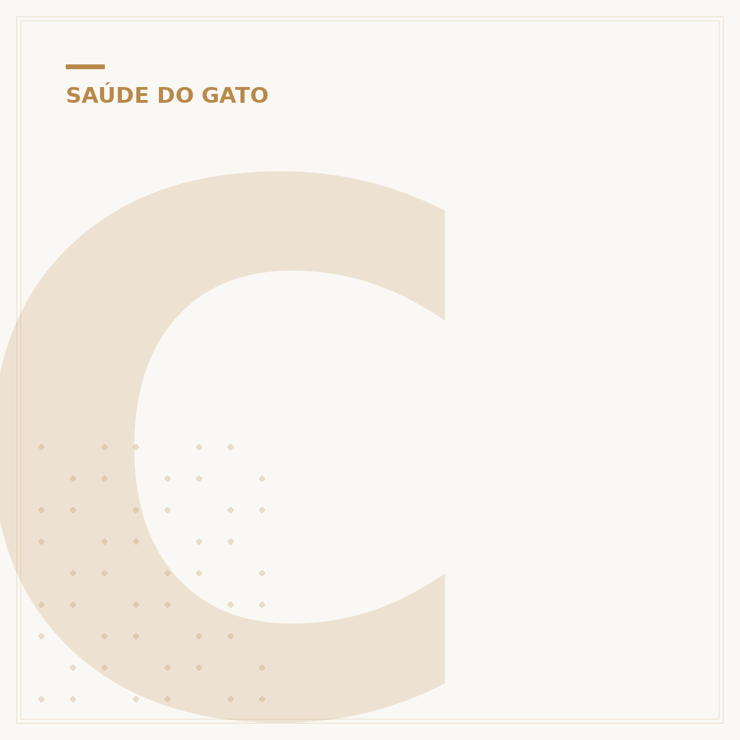 Colite em gatos