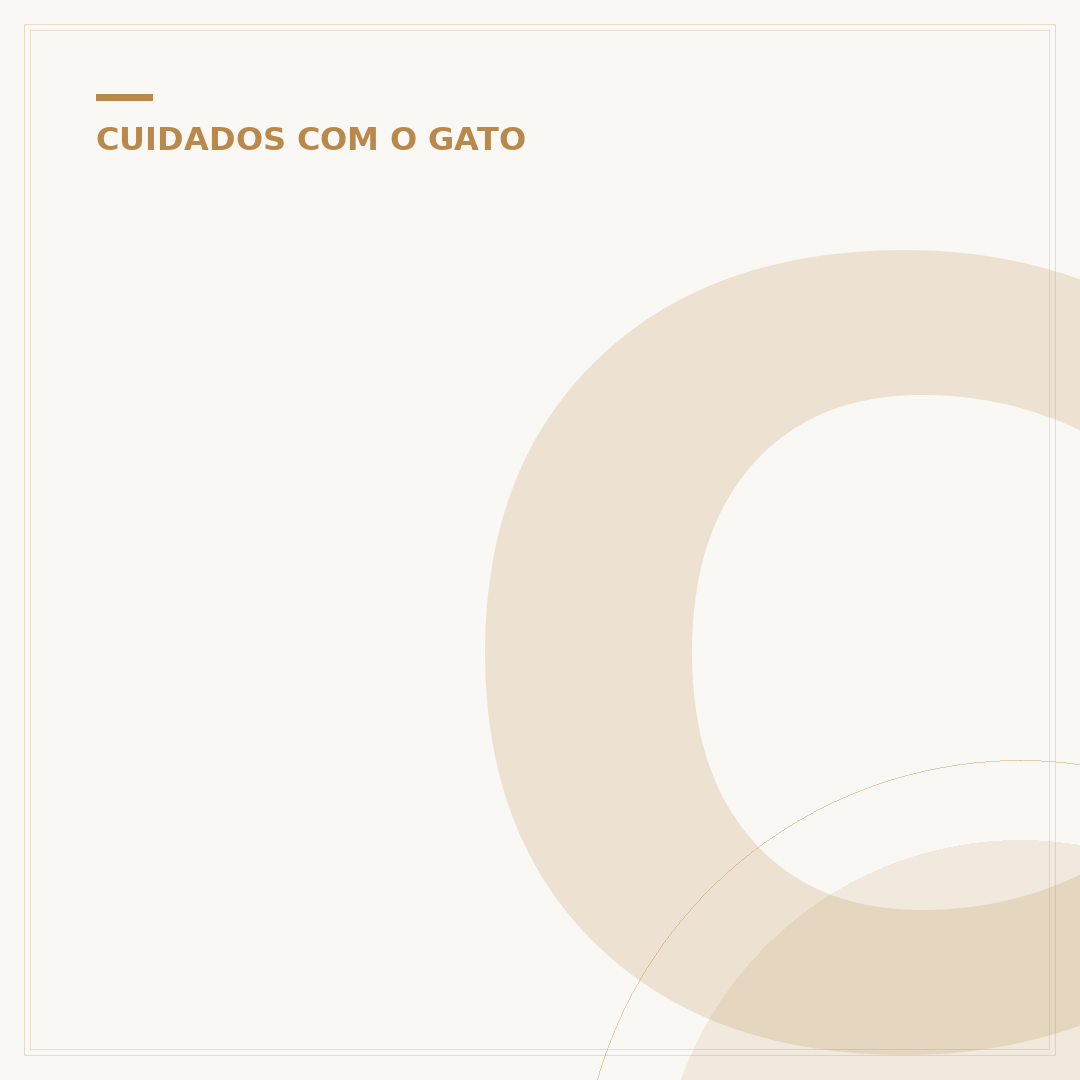 Como descobrir o sexo do gato