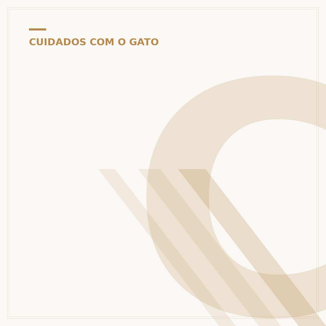 Como domesticar um gato