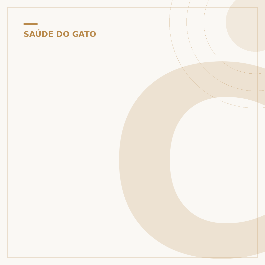 Como saber se o gato está com febre: sinais e cuidados