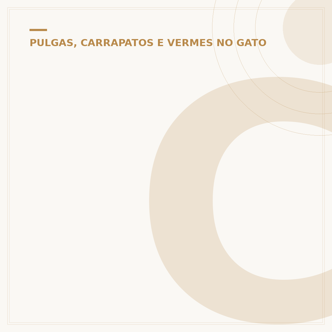 Como tratar pulgas em gatos
