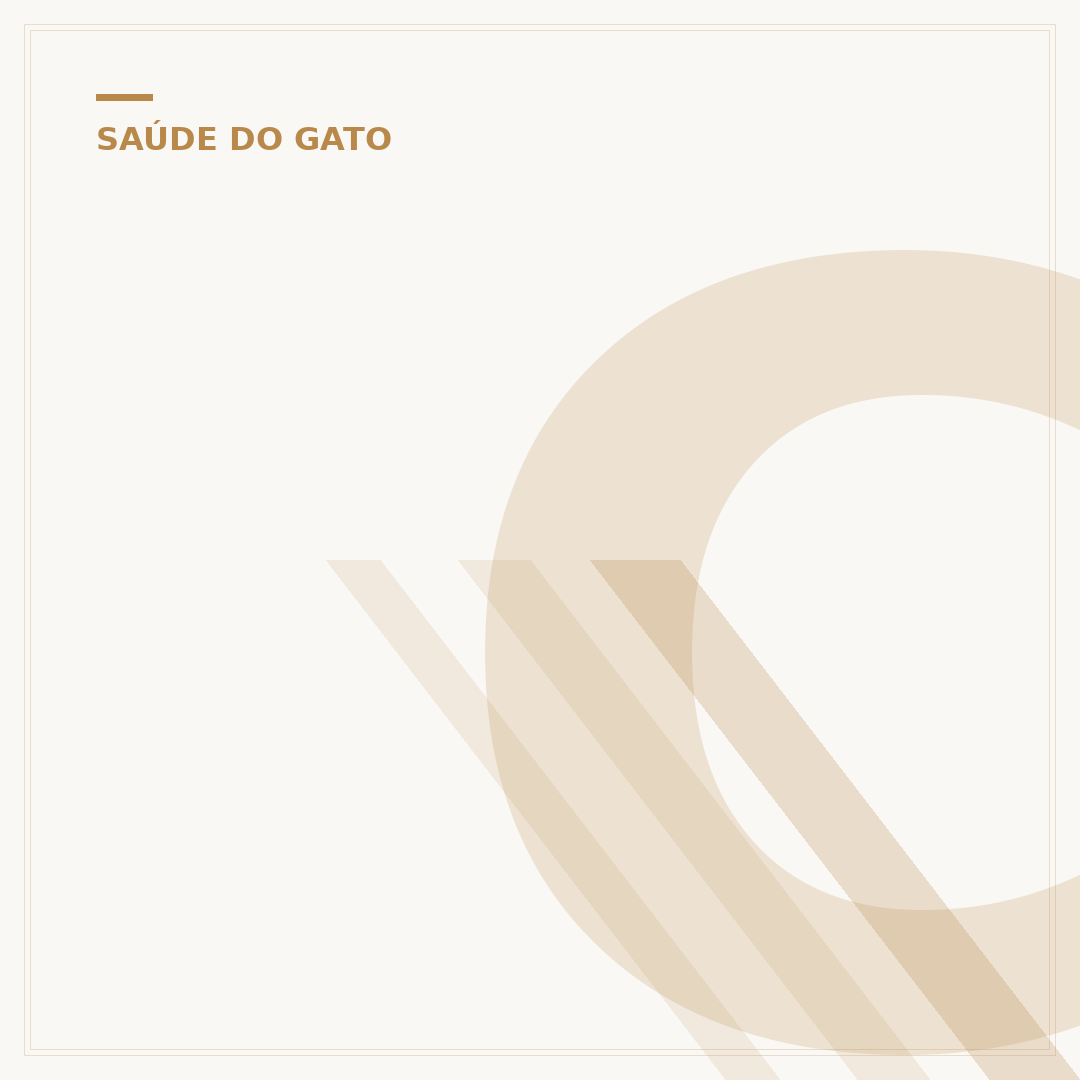 Conjuntivite em gatos: causas, sintomas e como tratar