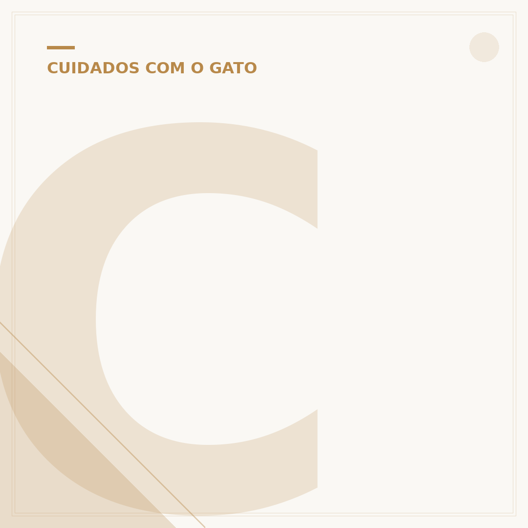 Cuidados para gatos fêmeas: saúde, comportamento e bem-estar