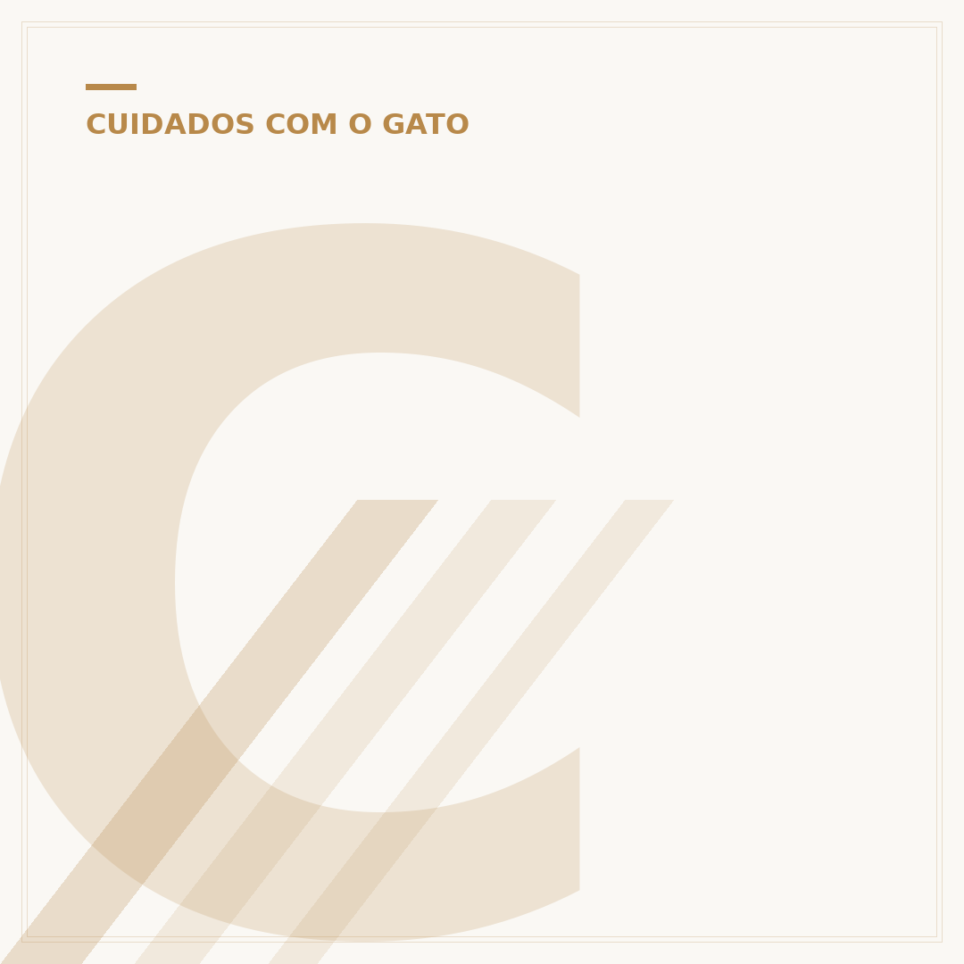 Como cuidar de um filhote de gato de 1 mês