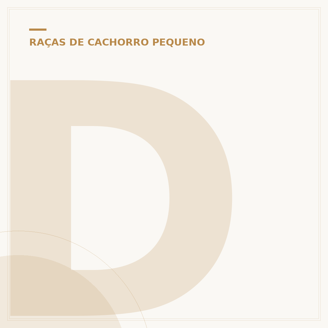 Dachshund: o que você precisa saber sobre o cão salsicha