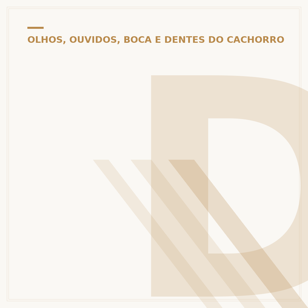 Dente de cachorro filhote cai: quando e porquê ocorre
