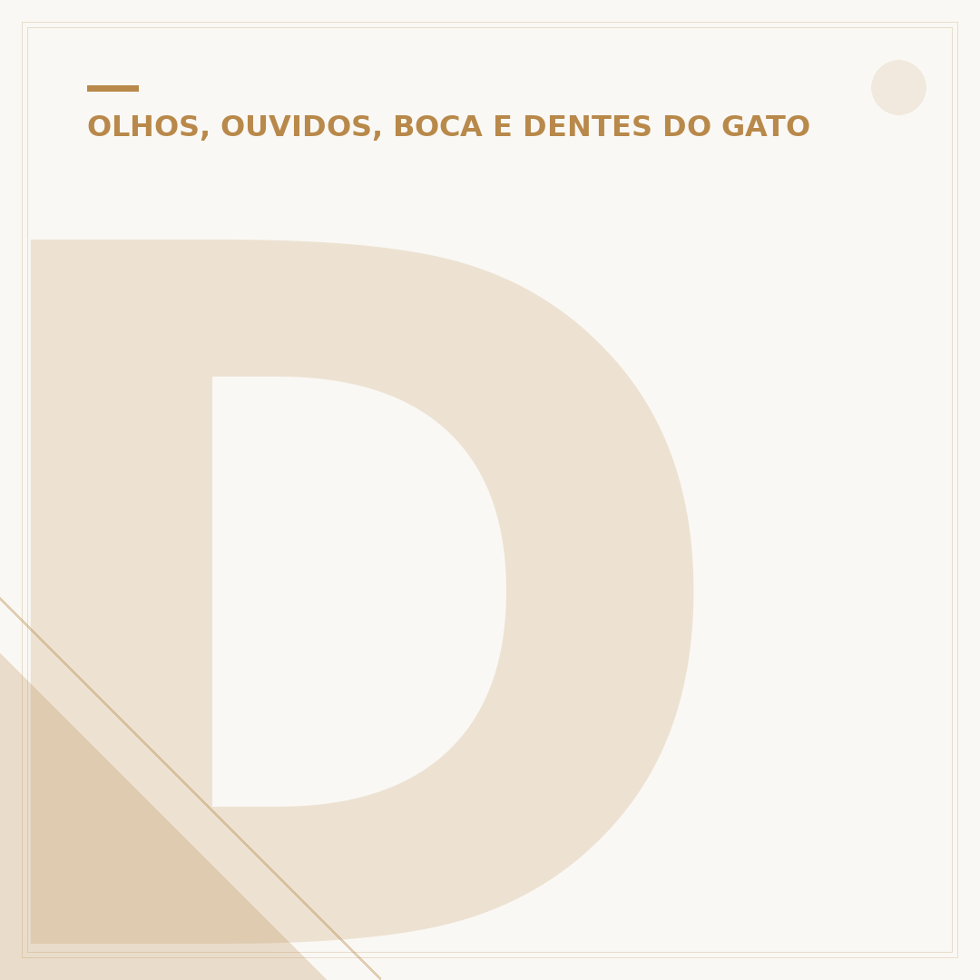 Dente do gato caiu: causas, cuidados e quando se preocupar