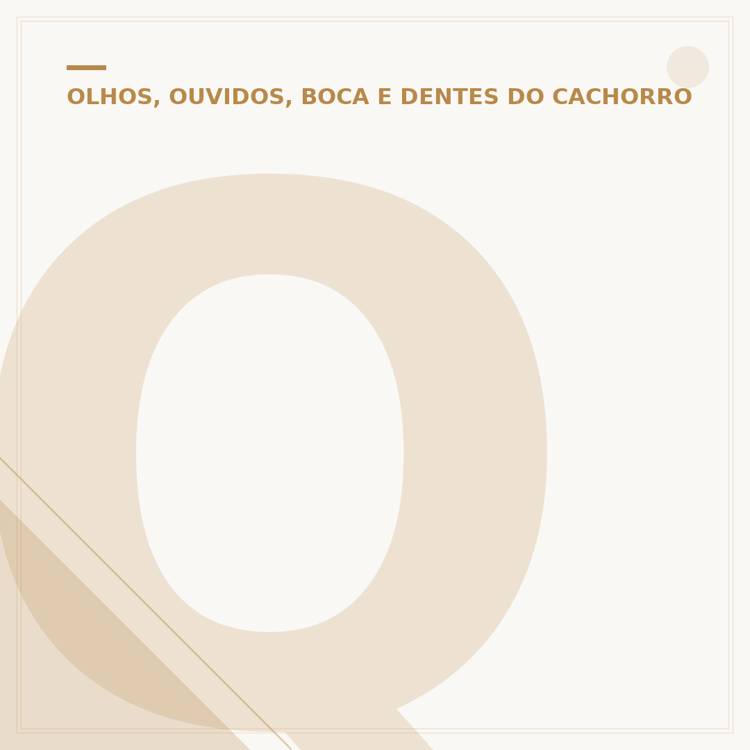 Quantos dentes tem um cachorro adulto e sua importância