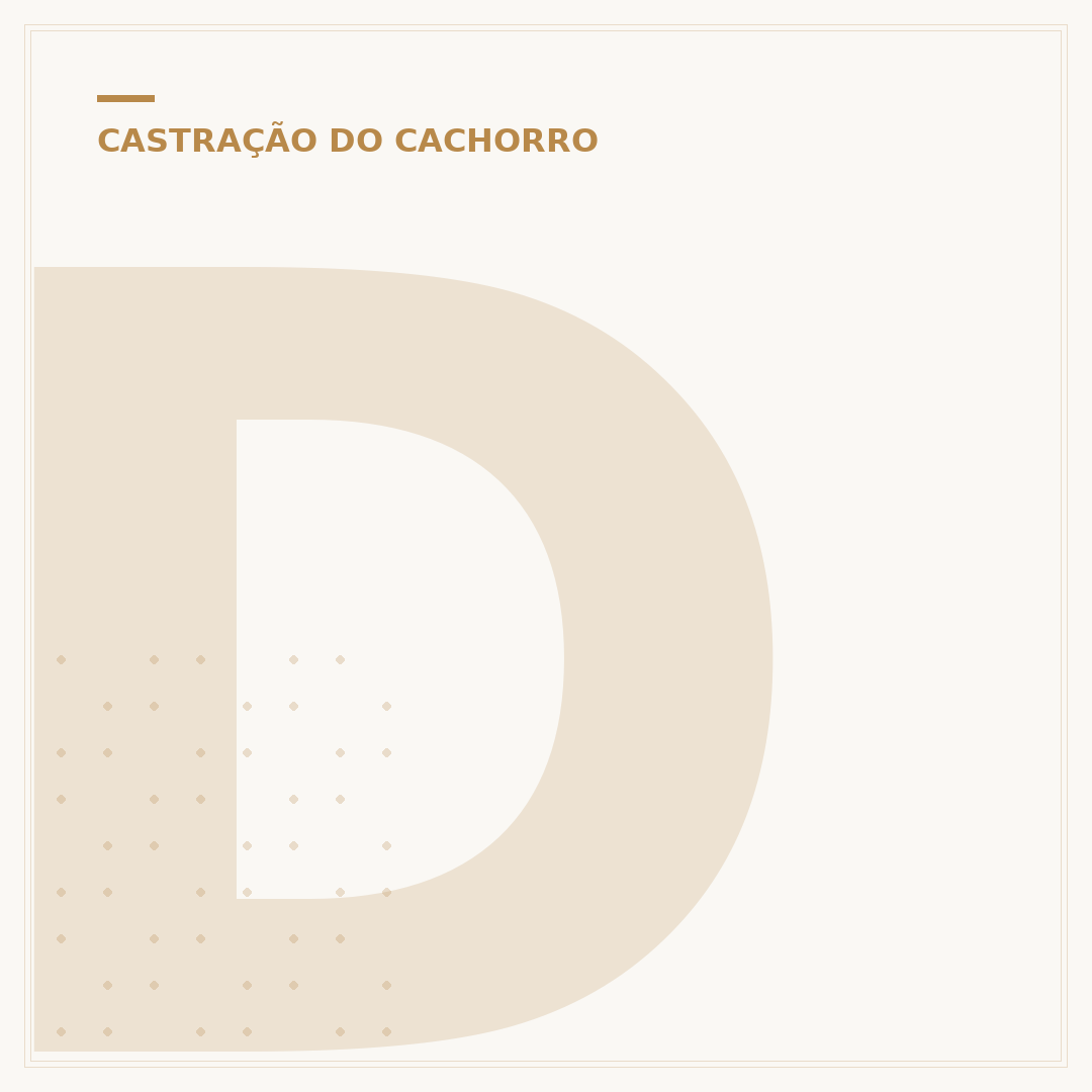 Desvantagens de castrar cachorro macho: o que saber antes