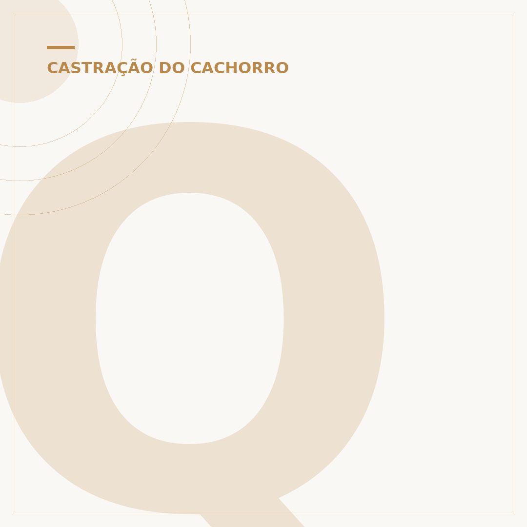Quantos dias depois do cio a cadela pode ser castrada?