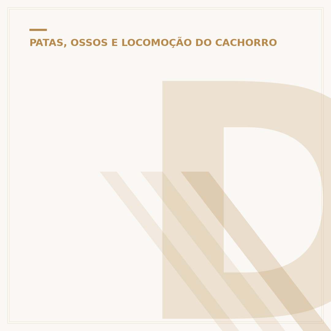 Displasia de cotovelo em cães: causas, sintomas e tratamento