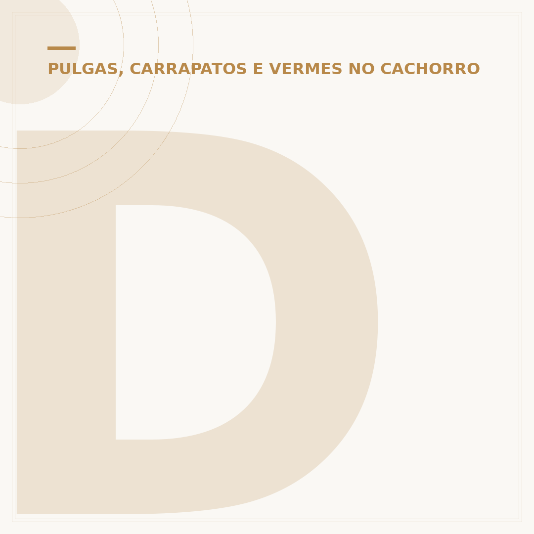 Doença do carrapato pega em humanos? Entenda a transmissão