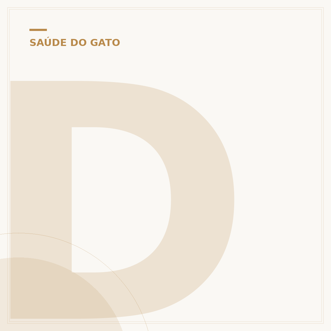 Doença do gato: sintomas, causas, tratamento e prevenção