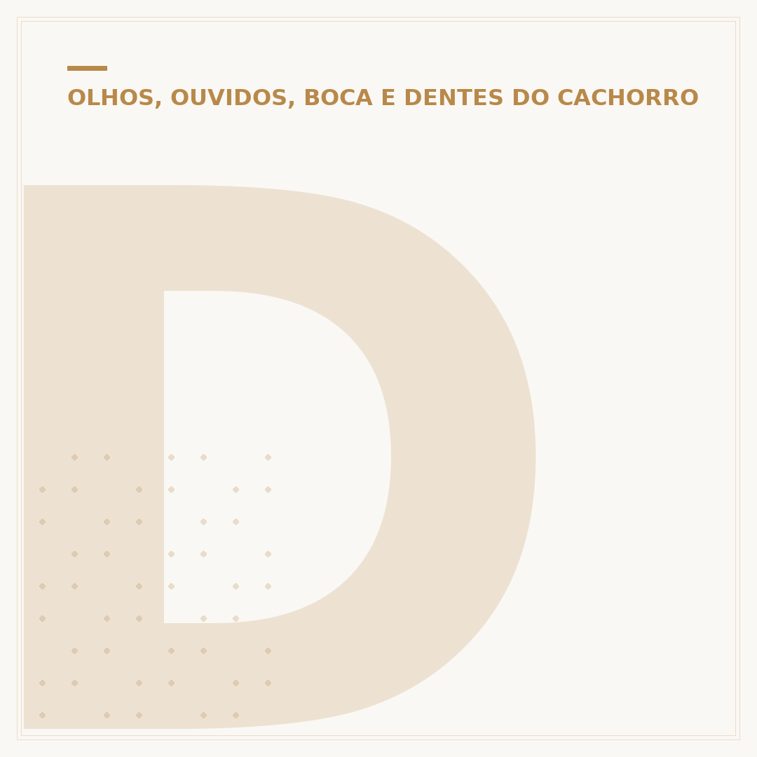 Dor de dente em cachorro: sinais, causas e como ajudar