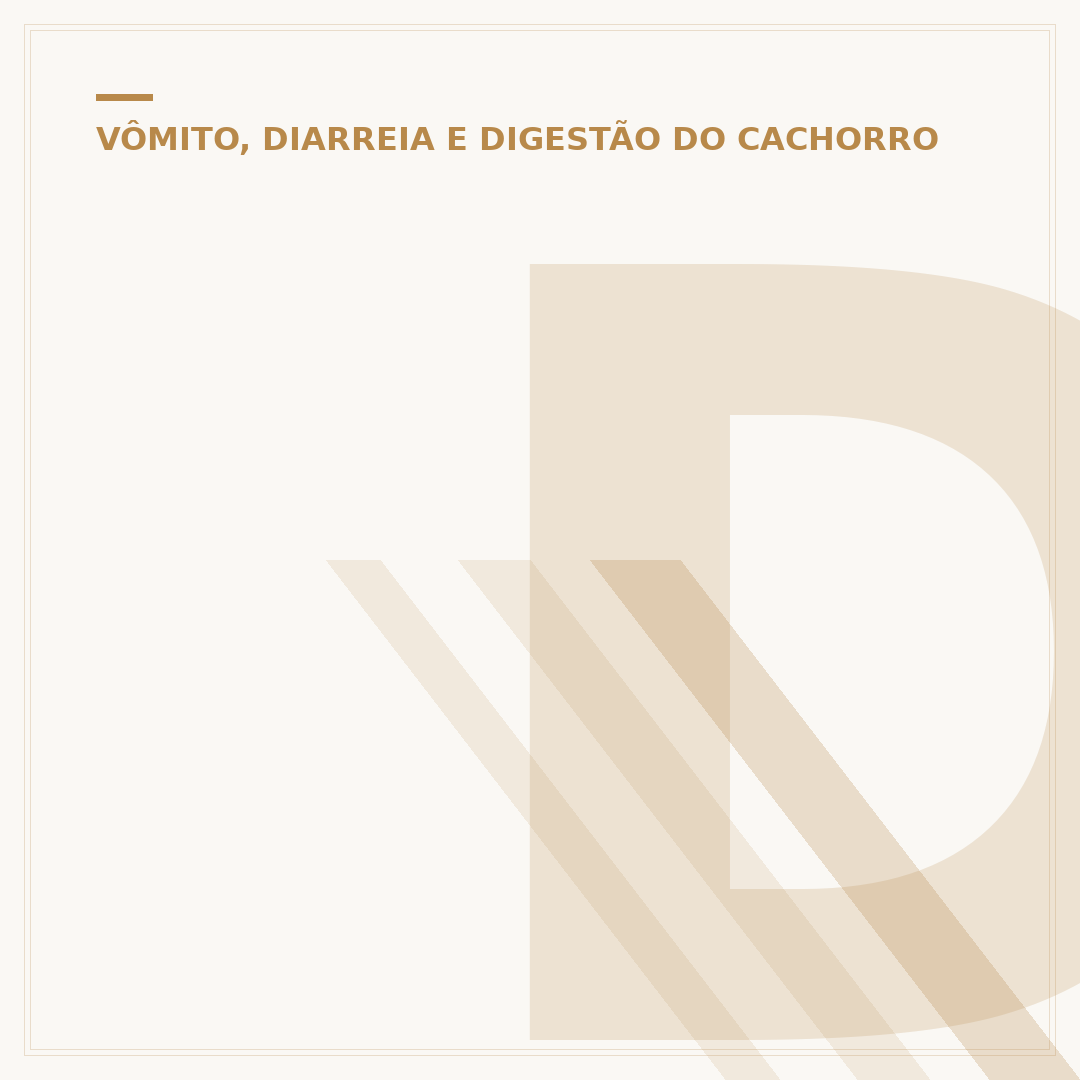 Douglas: barriga de cadela
