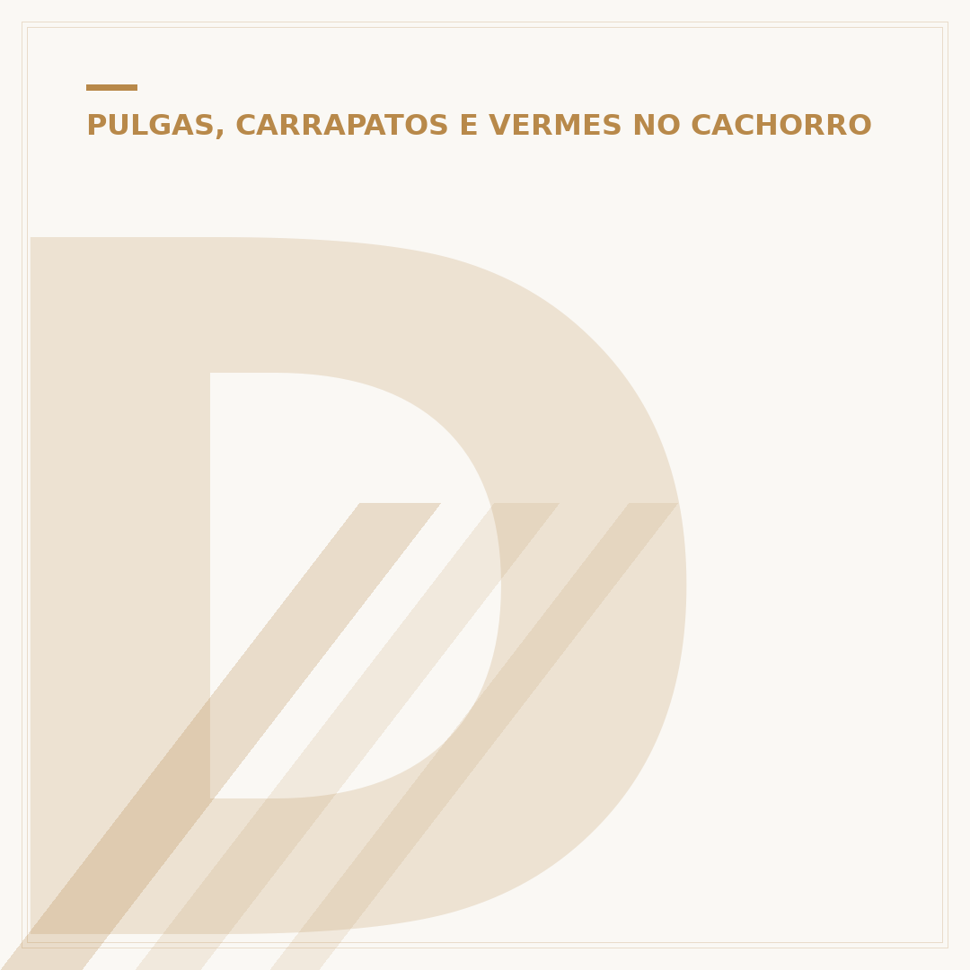 Doxinew serve para doença do carrapato em cães?