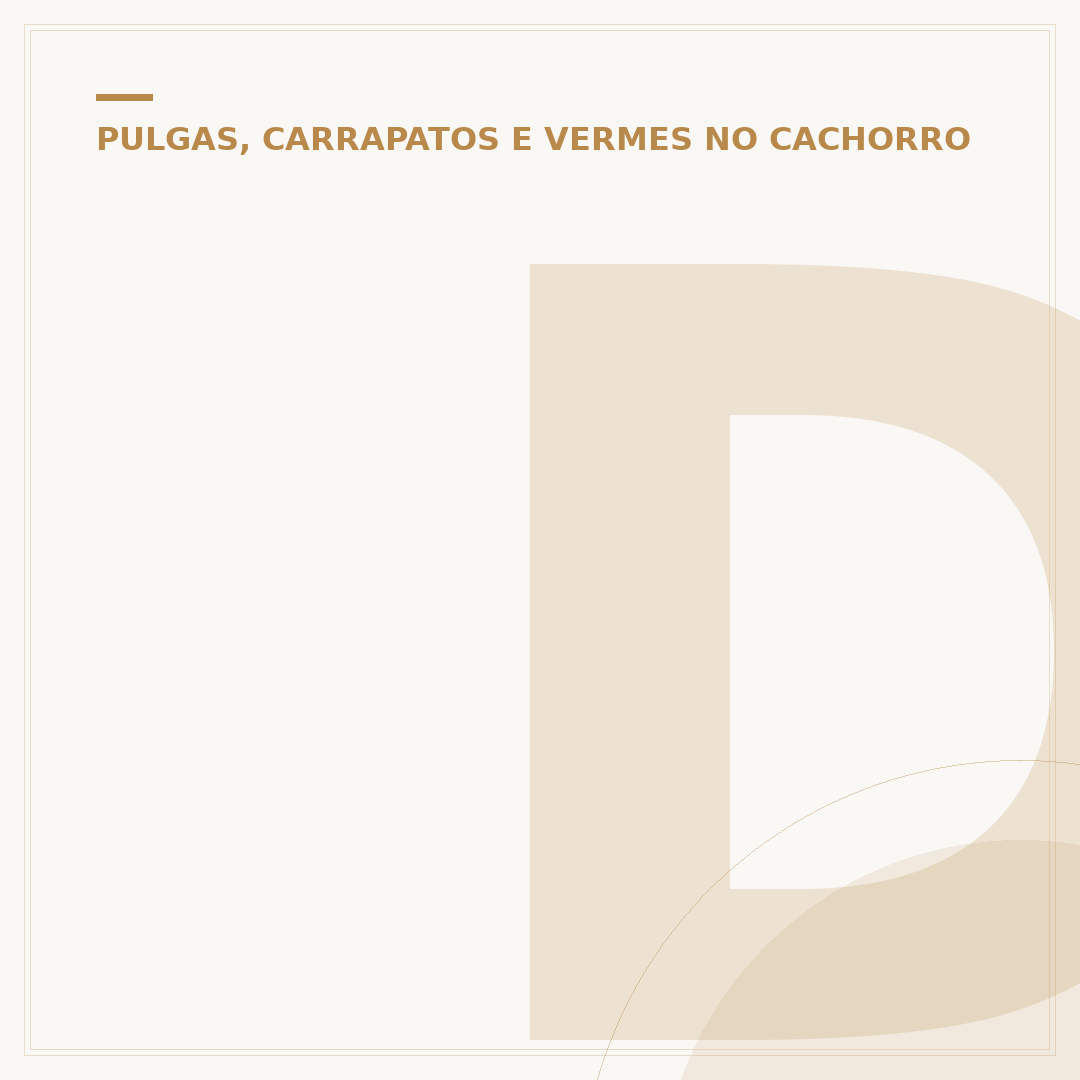 Doxitec serve para doença do carrapato? Entenda o uso