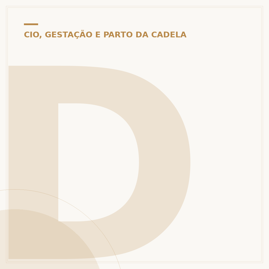 Duração do cio da cadela: entenda o ciclo e cuidados
