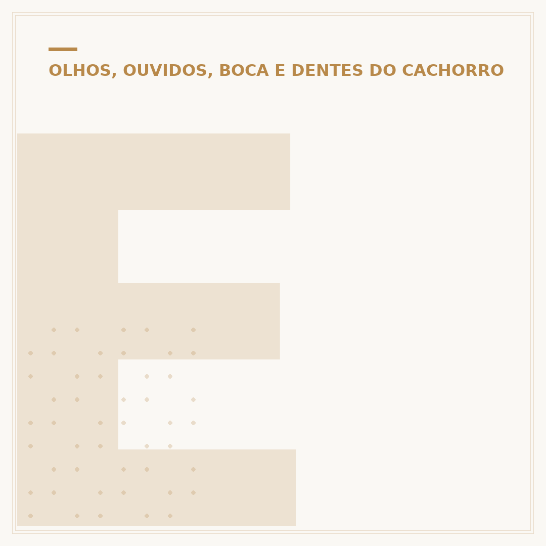 É normal cair dente de cachorro? Entenda a troca dentária