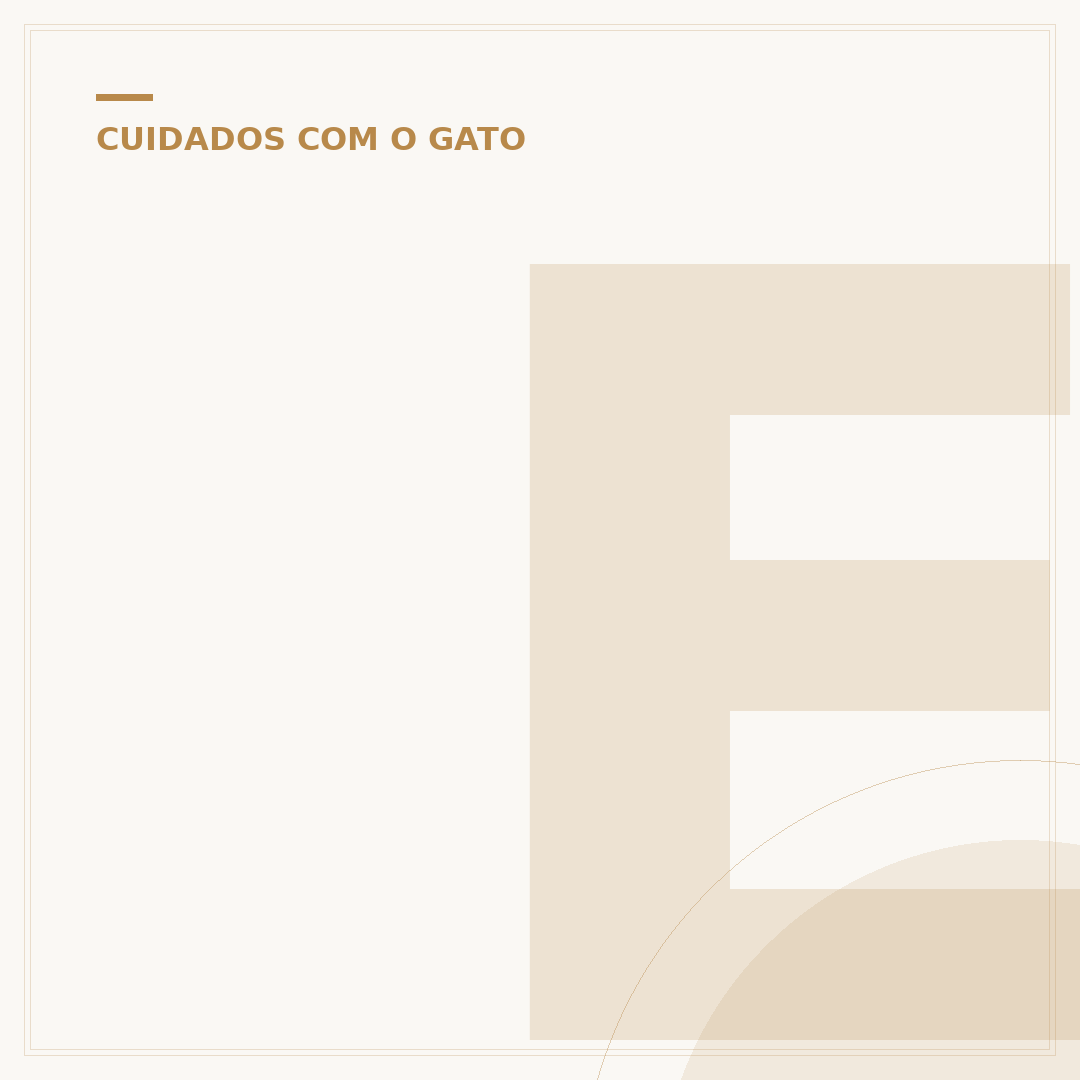 Enforca gato pequeno preto: usos, tipos e como escolher