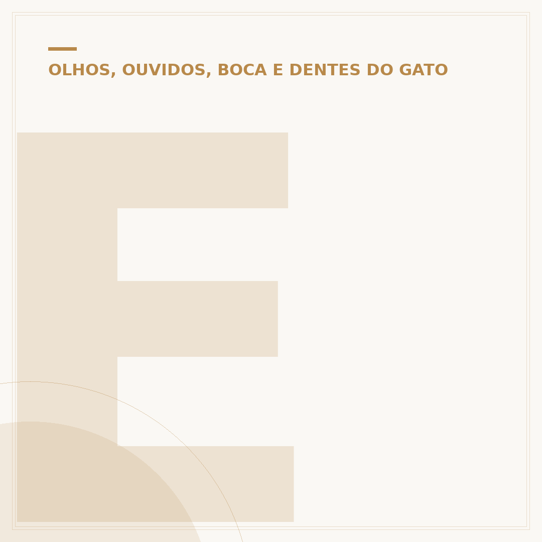 Escova de dente para gatos