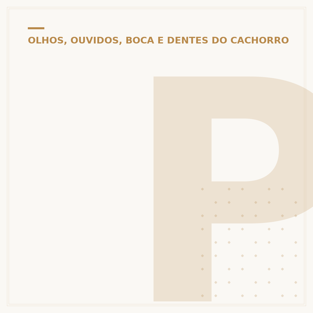 Pode escovar os dentes do cachorro com pasta normal?