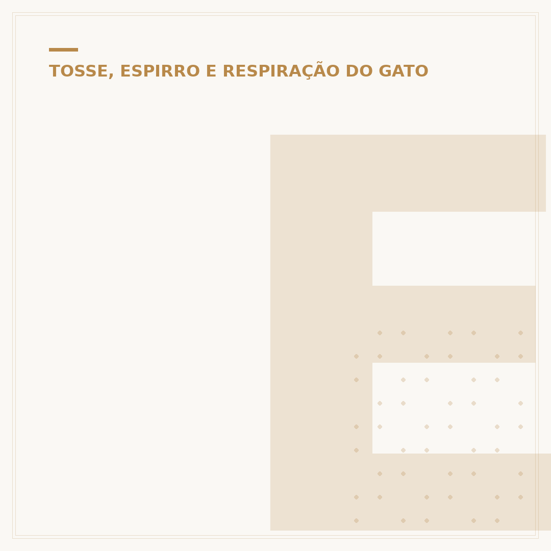 Espirro de gato faz mal para humanos? Entenda os riscos