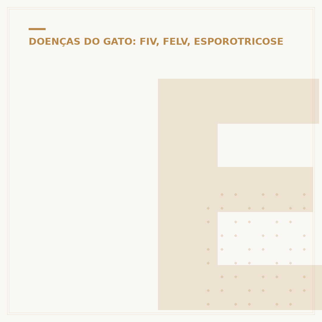 Esporotricose em gatos: como tratar a fase inicial