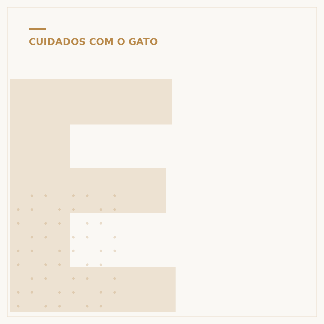 Estimativa de vida de um gato: fatores e longevidade