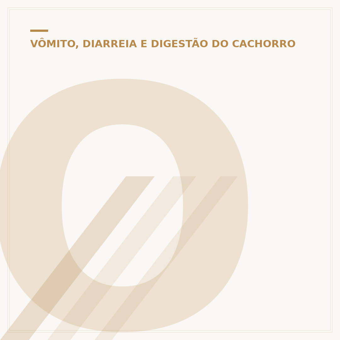 O estômago do cachorro digere osso?