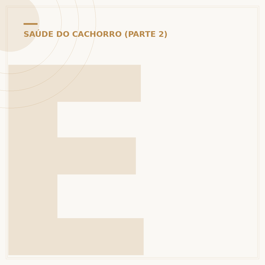 Eutanásia em cachorro é pecado?