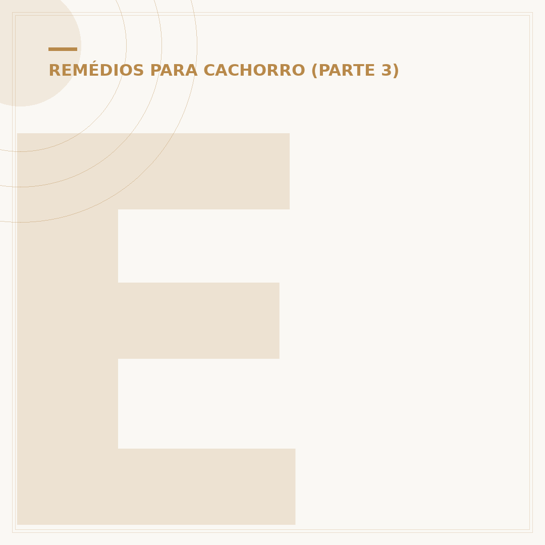 Existe calmante para cachorro? Entenda as opções