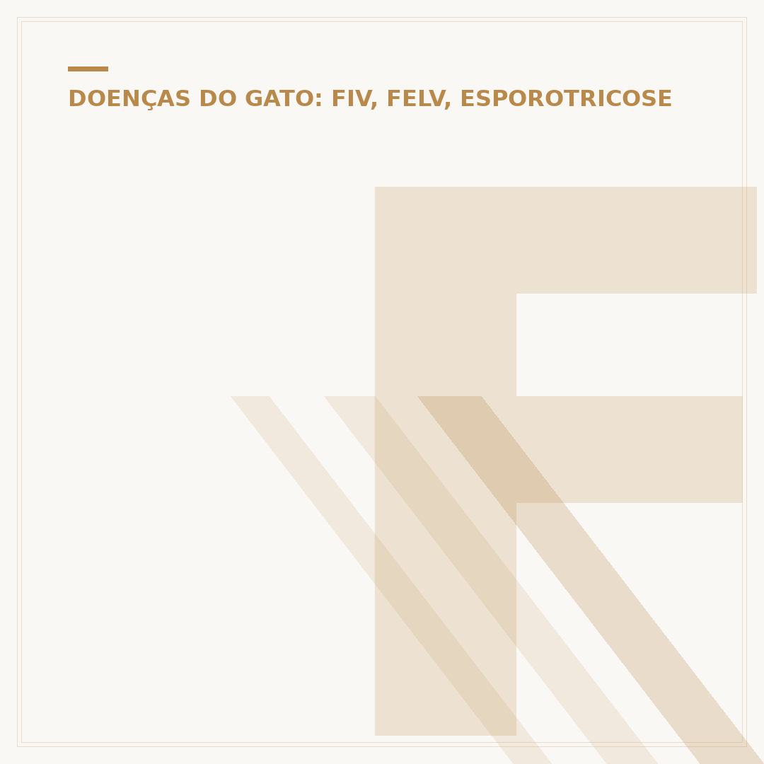 Felv olhos: o que são e como identificar os sintomas