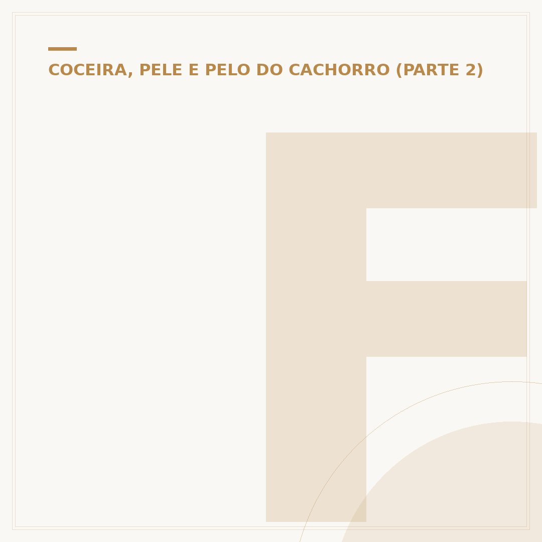 Ferida de calazar em cachorro: sinais, causas e cuidados