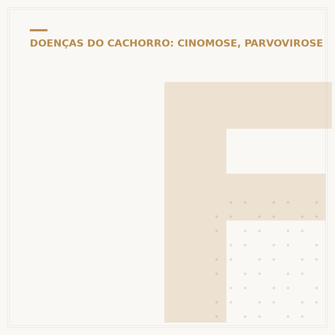 Feridas de leishmaniose em cachorro