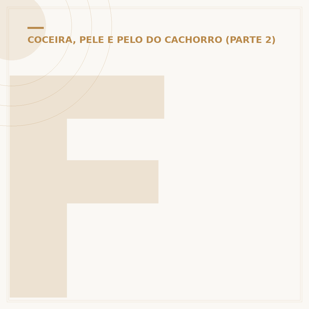 Feridas na pele do cachorro que coçam: causas e cuidados