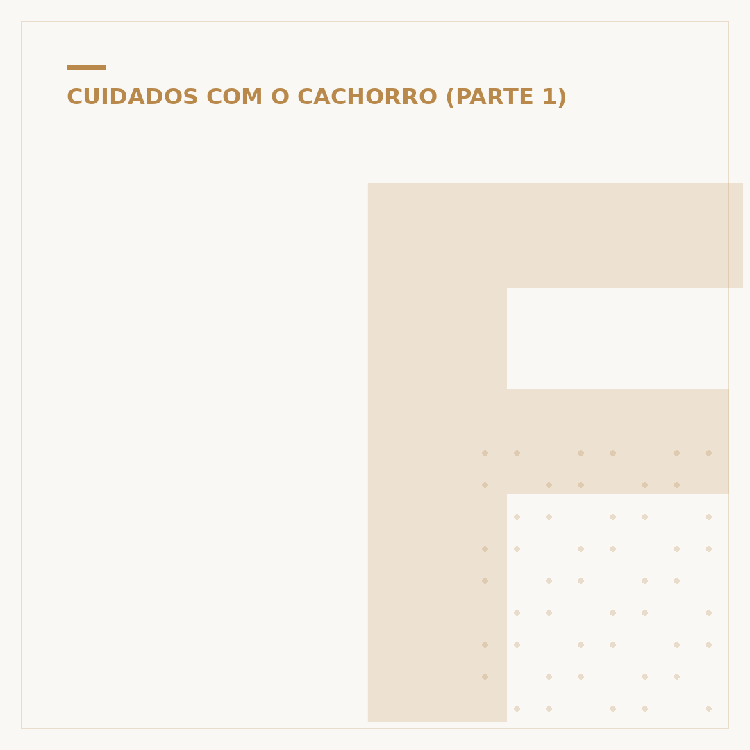 Filhote de cachorro pequeno